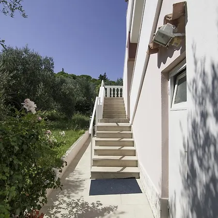 House Anca - Tkon