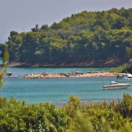 Penzion House Anca - Tkon